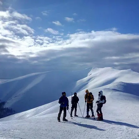 Chalet шалe у пилипці Pylypets Pilipets