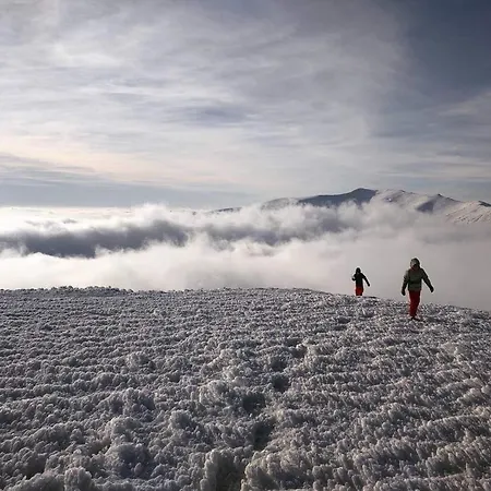 шалe у пилипці Pylypets Chalet *