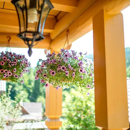 шалe у пилипці Pylypets Pilipets