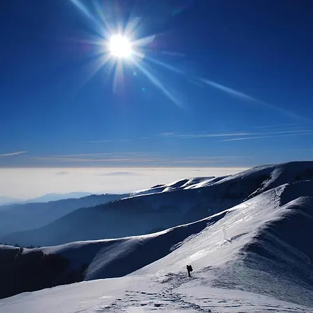 шалe у пилипці Pylypets *