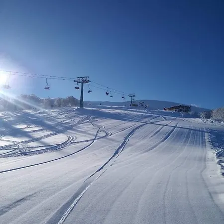 шалe у пилипці Pylypets Pilipets