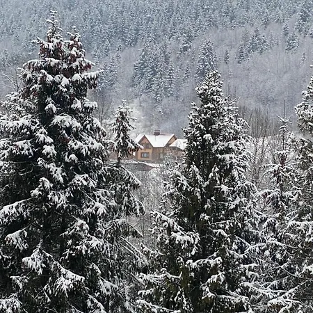 шалe у пилипці Pylypets Alpstuga Pilipets