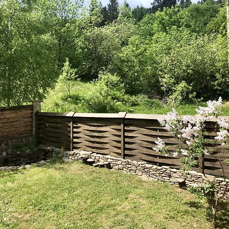 шалe у пилипці Pylypets * Pilipets